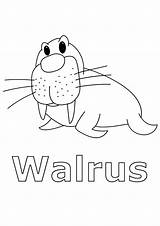 Coloring Walrus Animals Arctic Pages Kids Animal Printable Artic Step Worksheets Fox Polar Song Children Winter North Seal Bestcoloringpagesforkids Popular sketch template