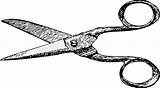 Scissors Clipart Line Tijeras Cut sketch template
