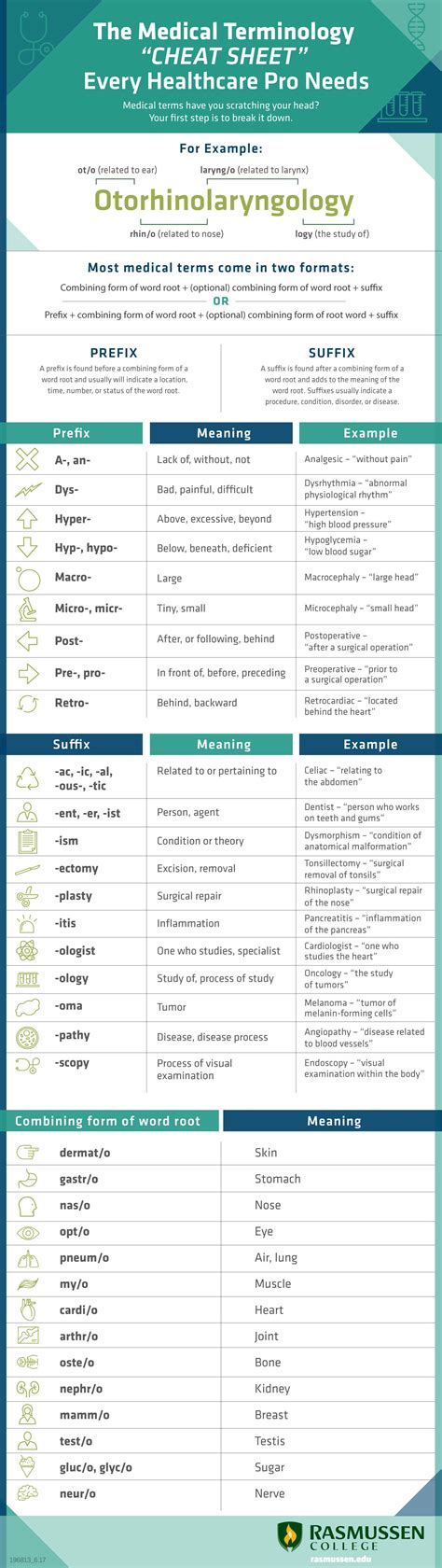 medical terminology cheat sheet  healthcare pro