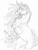 Unicorn Evil Sketch Drawing Hibbary Horse Deviantart Getdrawings sketch template
