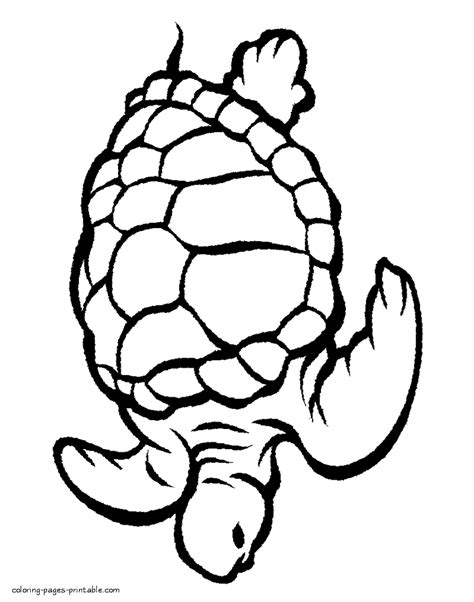 turtle sea animals colouring pages coloring pages printablecom