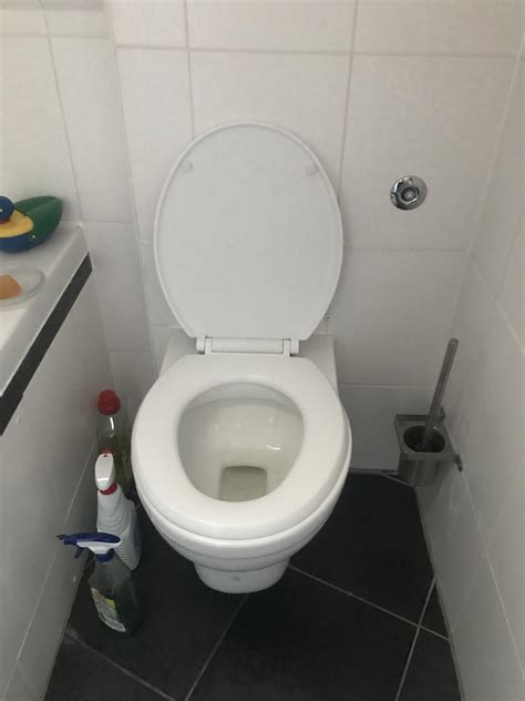 toilet repareren sanybrouiere loopt vast bij doortrekken werkspot