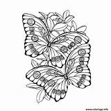 Papillon Coloriage Mandalas Mariposa Isabelle Mandala Colorier Coloriages Imprimé sketch template