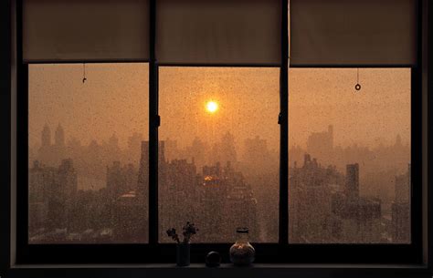 sunshower  york nyc