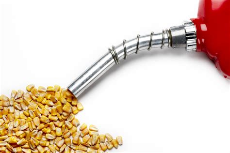ncga asks epa  follow trumps lead  ethanol    world grain
