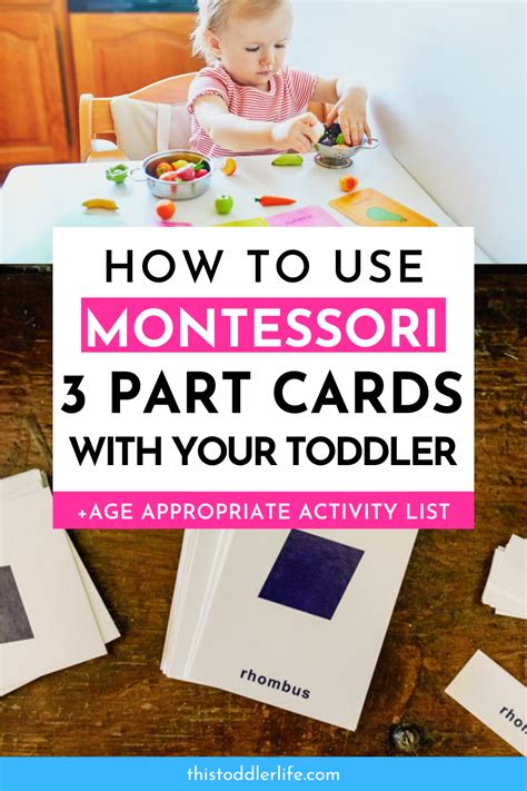 How To Use Montessori 3 Part Cards Free Printables The Natural Hot