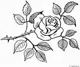Rosas Colorear Flor Gratistodo Recortables Esos Coloringcity sketch template