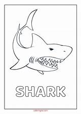 Shark Clark sketch template