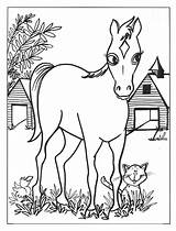 Kleurplaten Paarden Kleurplaat Paard Dieren Pferde Animasi Kuda Bergerak Malvorlagen Mewarnai Kolorowanki Equine Konie Coloriages Bewegende Animierte Animaties Topkleurplaat Gify sketch template