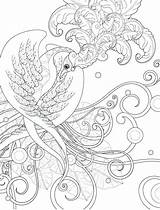 Coloring Pages Online Interactive Virtual Adults Getcolorings Getdrawings sketch template