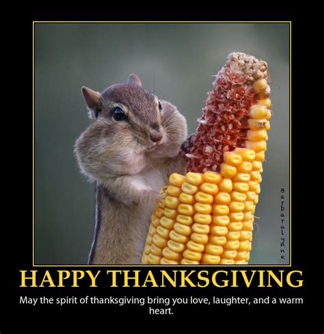 to all of you… happy thanksgiving rhys ford