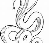 King Cobra Coloring Pages Drawing Tut Printable Snake Getdrawings Line Getcolorings Clipartmag Cadabra Animals Color Spitting sketch template