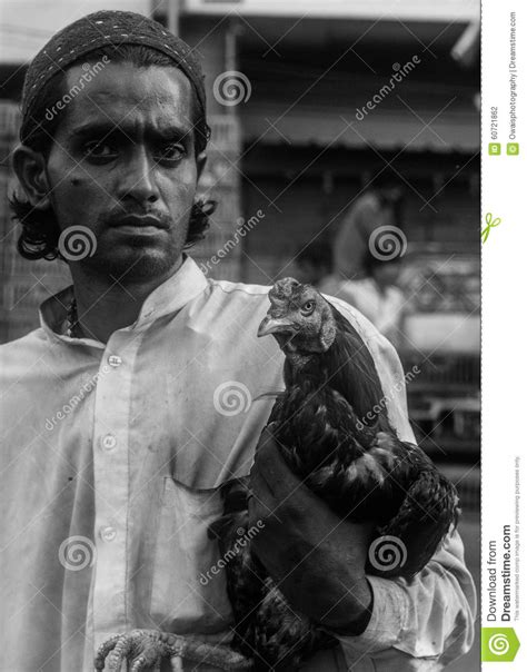 man   pet editorial photography image  rooster