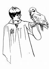 Potter Harry Coloring Hedwig Owl Pages Color Her Print Netart Clipart Popular Library Template sketch template