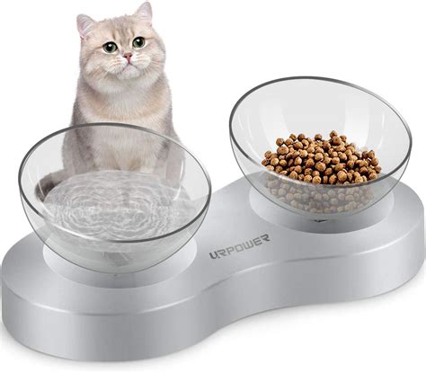 amazoncom urpower elevated cat bowl  degree tilted raised cat food bowls stress