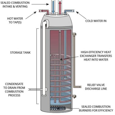 tankless water heater wiring diagram guide ikuseinet