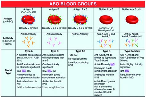 abo blood groups   respective antibodies  antigens  ref
