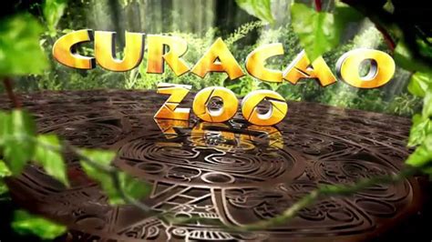 curacao zoo nature reserve promotional video  pap youtube