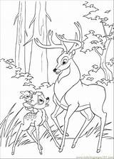 Bambi Thumper Coloring Pages Getcolorings sketch template