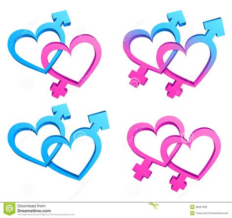 gender symbols stock vector image of female relationship 36221928