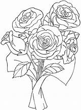 Trandafiri Colorat Cu Desene Damy Flori Trandafir Creion sketch template