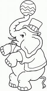 Circus Coloring Pages Crafts Sheknows sketch template