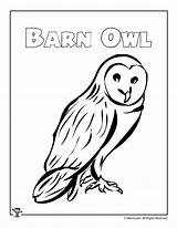 Owl Barn Coloring Line Drawing Getdrawings sketch template
