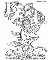 Coloring Pages Elfjes Fairy Alfabet Colouring Alphabet Adult Printable Malvorlagen Elfen Emblem Ausmalbilder Fairies Bluebell Flower Ffa Kids Ausmalen Bilder sketch template