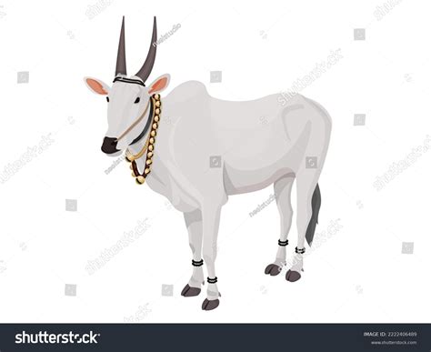 indian ox decorated  stuff festivals stock vector royalty