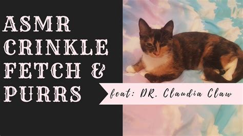 asmr crinkle fetch and the long purr goodnight feat dr claudia claw fabric purrs fixed