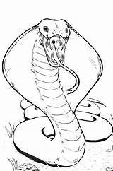 Cobra Hissing Serpent Kai Tatuaje Kidsplaycolor Serpiente sketch template