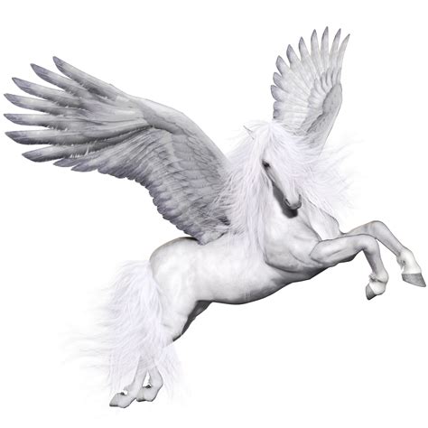Our School Classes Pegasus Class
