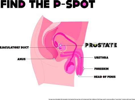 Guide to anal fisting women