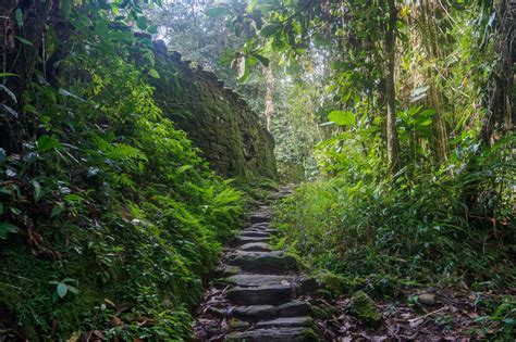ontdek het amazonegebied  colombia la casita vakantiehuizen