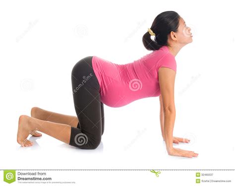 Asian Pregnant Yoga Position Cat Pose Royalty Free Stock