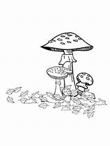 Mushrooms Autumn Colouring Fall Coloringpage Ca Coloring Pages Colour Check Category sketch template