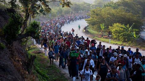 hundreds of migrant caravan members found to have us criminal histories