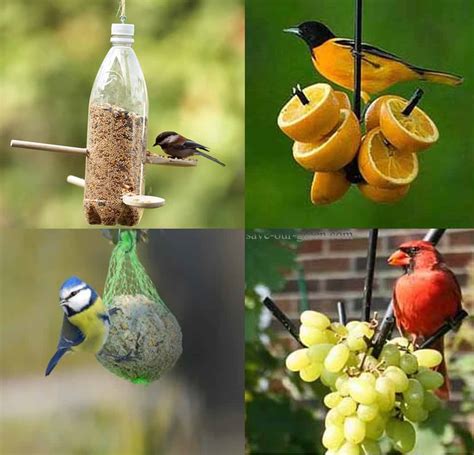 homemade bird feeder save  green