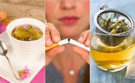 how to calm tobacco cravings with 5 plant based teas