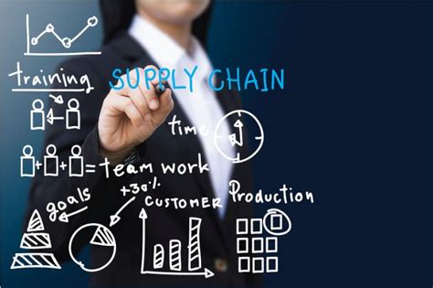 importance  supply chain consulting  india safexpress indias leading supply chain