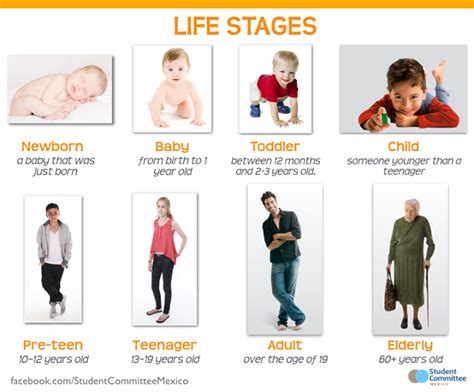 click  life stages