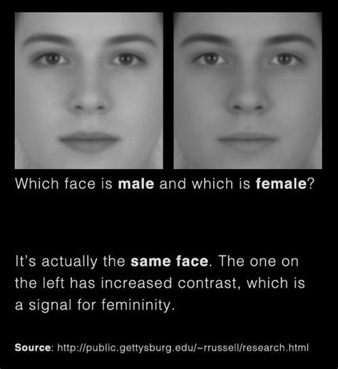 perceiving age health sex and beauty in a face is matter of details