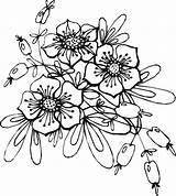 Ausmalen Blumenmotive Ranken Blumenmotiv Stickerei Besuchen Kostenlose sketch template