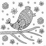 Oiseau Zentangle Mignon Mandalas Branche Reposant Imageneseducativas Escolha Pasta sketch template