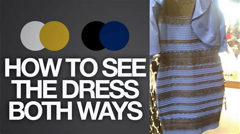 How To See The Dress Both Ways Black And Blue Or White And Gold Toy