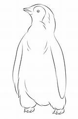 Antarctica Penguins Printables sketch template