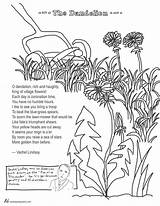 Coloring Poem Dandelion Vachel Lindsay Poems sketch template