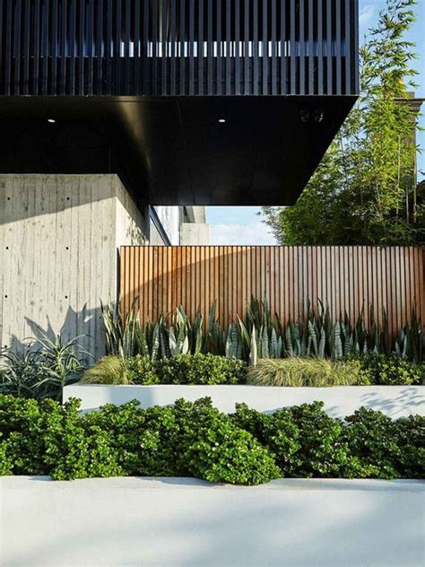 outdoor area  plants  trees  front   modern house   street