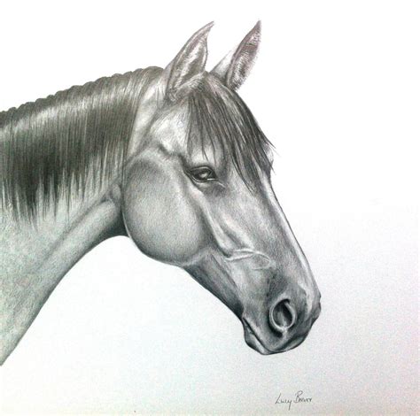 print horse head drawing  graphite