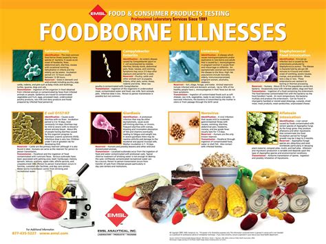Free Foodborne Illnesses Poster